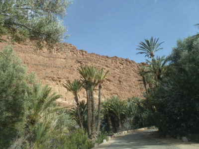 Der Weg durch die Oase