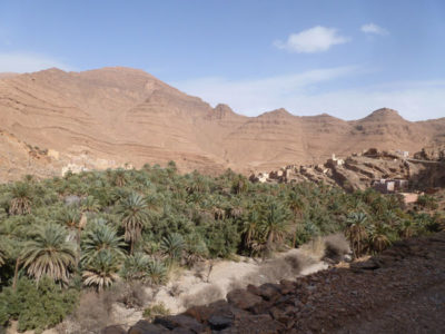 Oase und Wüste Oase und Wüste